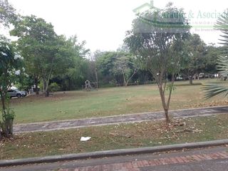 Foto 2 de VENDEMOS LOTE EN LA ZONA URBANA DE RICAURTE, URBANIZACION TOGORAMA.