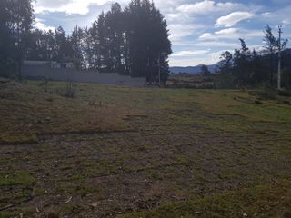 Foto 8 de Vendo terreno en La Merced, sector La Cocha