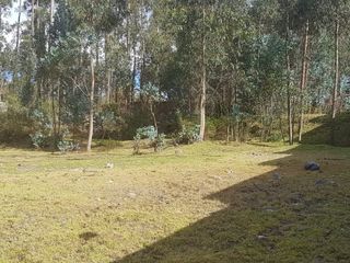 Foto 4 de Vendo terreno en La Merced, sector La Cocha