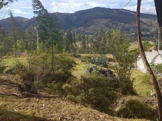 Foto 7 de Vendo terreno en La Merced, sector La Cocha