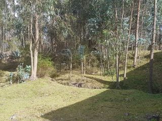 Foto 2 de Vendo terreno en La Merced, sector La Cocha
