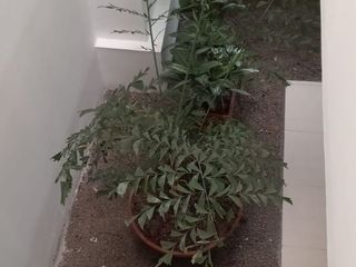 Foto 8 de VENTA DE OFICINA EN CALI SECTOR MENGA