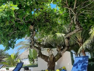 Foto 5 de Hostal en venta en Castelnuovo / Atacames