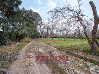 Foto 9 de LOTE DE CAMPO EN CONDOMINIO PRIVADO