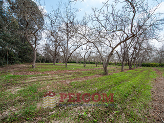Foto 5 de LOTE DE CAMPO EN CONDOMINIO PRIVADO