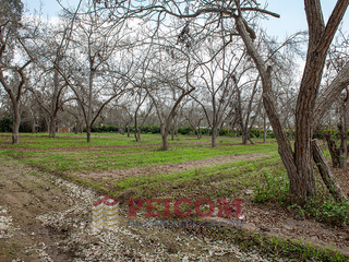 Foto 10 de LOTE DE CAMPO EN CONDOMINIO PRIVADO