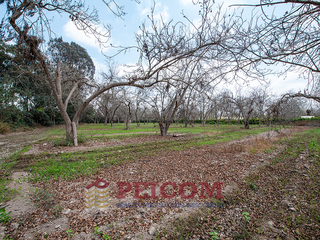 Foto 8 de LOTE DE CAMPO EN CONDOMINIO PRIVADO