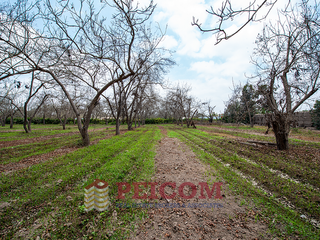Foto 6 de LOTE DE CAMPO EN CONDOMINIO PRIVADO
