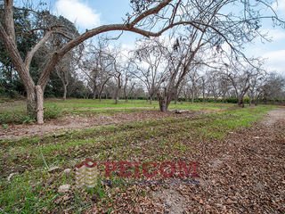 Foto 2 de LOTE DE CAMPO EN CONDOMINIO PRIVADO