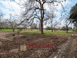 Foto 4 de LOTE DE CAMPO EN CONDOMINIO PRIVADO