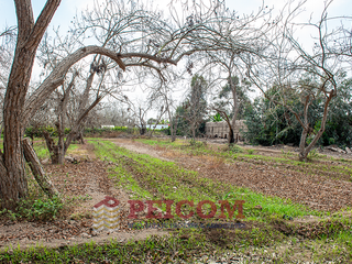 Foto 1 de LOTE DE CAMPO EN CONDOMINIO PRIVADO