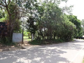 Foto 4 de ¡Tu casa de campo en Lamas! Ven a vivir una vida llena de paz, aventura y nuevas oportunidades. Ver video!! 🎬