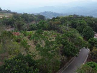 Foto 2 de ¡Tu casa de campo en Lamas! Ven a vivir una vida llena de paz, aventura y nuevas oportunidades. Ver video!! 🎬