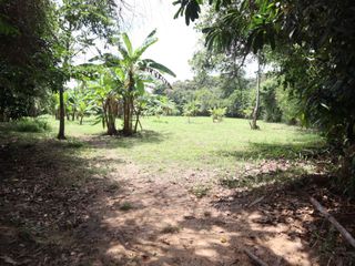 Foto 5 de ¡Tu casa de campo en Lamas! Ven a vivir una vida llena de paz, aventura y nuevas oportunidades. Ver video!! 🎬