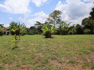 Foto 6 de ¡Tu casa de campo en Lamas! Ven a vivir una vida llena de paz, aventura y nuevas oportunidades. Ver video!! 🎬