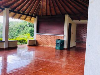 Foto 3 de BUGA, VIA PUENTE TIERRA, SE VENDE FINCA CAMPESTRE CON PRODUCCION