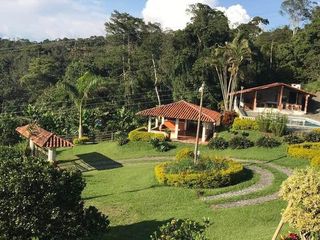 Foto 31 de BUGA, VIA PUENTE TIERRA, SE VENDE FINCA CAMPESTRE CON PRODUCCION