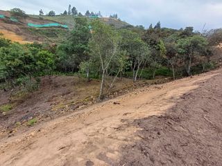 Foto 4 de Lotes Campestres tunel de oriente llanogrande rionegro