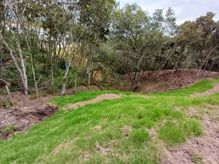 Foto 13 de Lotes Campestres tunel de oriente llanogrande rionegro