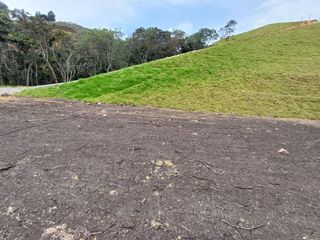 Foto 12 de Lotes Campestres tunel de oriente llanogrande rionegro