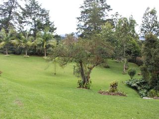 Foto 6 de One Level Home With Traditional and Modern Touches in Residential Community