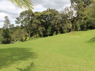 Foto 4 de One Level Home With Traditional and Modern Touches in Residential Community