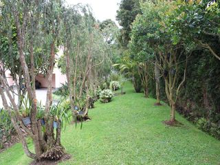Foto 9 de One Level Home With Traditional and Modern Touches in Residential Community