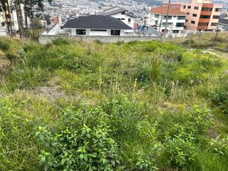 Foto 4 de VENTA TERRENO, REAL AUDIENCIA, NORTE DE QUITO
