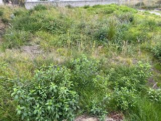 Foto 5 de VENTA TERRENO, REAL AUDIENCIA, NORTE DE QUITO
