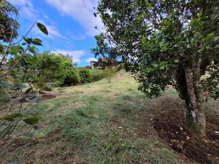 Foto 4 de SE VENDE LOTE EN CAJIBIO