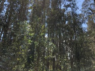 Foto 4 de VENTA TERRENO CON PENDIENTE URB. EL REFUGIO SECTOR ALANGASI / PINTAG