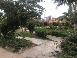 Terreno En Venta Con Excelente Ubicacion, Frente A Parque En Zona Residencial, Los Olivos