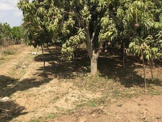 Foto 3 de GRAN VENTA DE TERRENO EN CIENEGUILLO