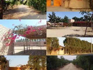 Foto 4 de Venta de terreno en exclusivo condominio Azahares en Chincha