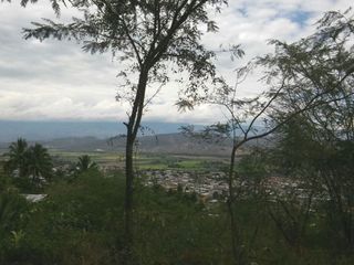 Foto 5 de Terrenos en Amazonas 7 has con agua y 15 has sin agua con Noni en Producción