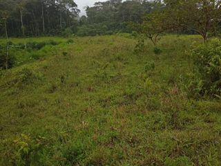 Vendo Finca de 32 Hectareas, Poblado Cielo Verde, Provincia Imbabura