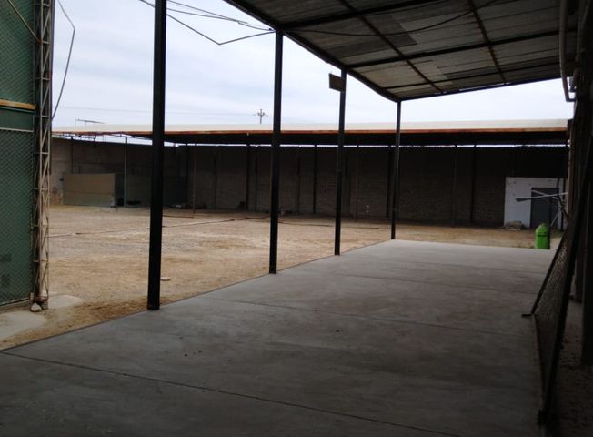 place photo 20