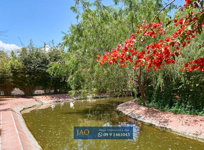 place photo 19
