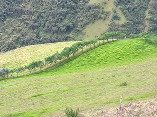 Foto 3 de Oportunidad, Venta de Finca en Alambi, Parroquia Nono Precio $239.000 - 9.65 Ha.