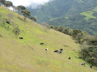 Foto 4 de Oportunidad, Venta de Finca en Alambi, Parroquia Nono Precio $239.000 - 9.65 Ha.