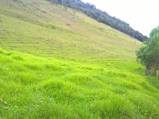 Foto 2 de Oportunidad, Venta de Finca en Alambi, Parroquia Nono Precio $239.000 - 9.65 Ha.