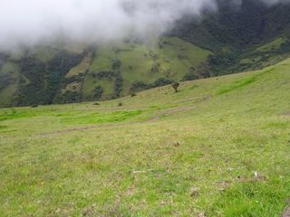 Foto 5 de Oportunidad, Venta de Finca en Alambi, Parroquia Nono Precio $239.000 - 9.65 Ha.