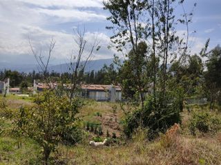 Terreno de Venta 11.695 M2, Cumbaya, Lotizacion Yanazarapata, perfecto para proyecto de casas.