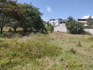 Terreno de Venta 11.695 M2, Cumbaya, Lotizacion Yanazarapata, perfecto para proyecto de casas.