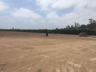 Foto 3 de Terreno en Quilmana CON CASA Y NEGOCIO – 2.33  has