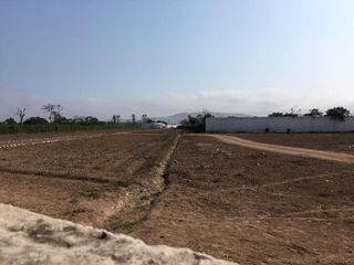 Foto 8 de Terreno en Quilmana CON CASA Y NEGOCIO – 2.33  has