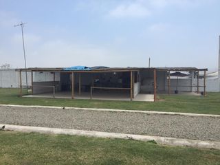 Foto 5 de Terreno en Quilmana CON CASA Y NEGOCIO – 2.33  has