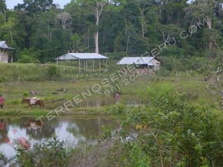 Foto 4 de Terreno en Loreto de 750 Has – Ideal para EcoTurismo