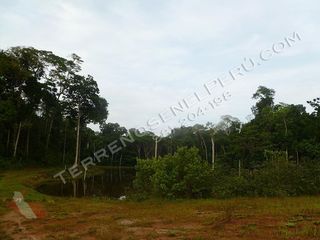 Foto 5 de Terreno en Loreto de 750 Has – Ideal para EcoTurismo