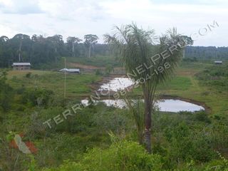 Foto 1 de Terreno en Loreto de 750 Has – Ideal para EcoTurismo